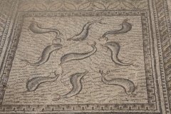 08-Beautifull preserved mosaic